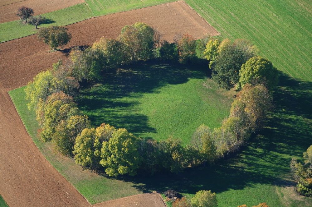 Aerial image Maulburg - Overlooking the colourful tree circle in Maulburg in Baden-Wuerttemberg. Not the Celts, but remnants of the Second World War have created this tree circle in Maulburg. On the mountain ridge of the Dinkelberg between the southern Black Forest and the Swiss border in the last years of the war a radio direction finding station with a large rotating directional antenna was installed. It was used for aircraft positioning. After the war the plant was dismantled, but the circular foundation not completely. Meanwhile bushes and trees have grown as a circular wood from the remains of the foundation