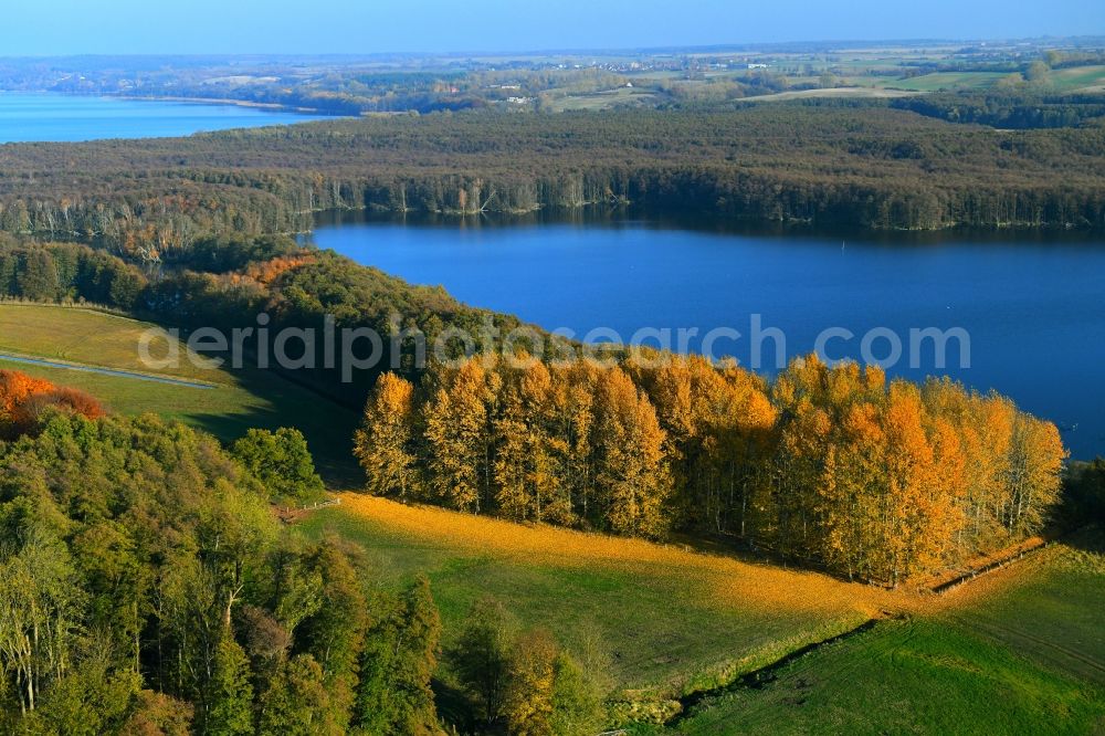 Penzlin from the bird's eye view: Autumn colored forests on the shores of Lake Lieps in Penzlin in the state Mecklenburg - Western Pomerania, Germany