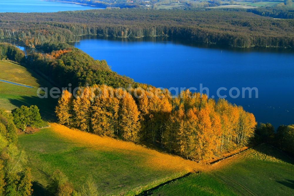 Aerial image Penzlin - Autumn colored forests on the shores of Lake Lieps in Penzlin in the state Mecklenburg - Western Pomerania, Germany