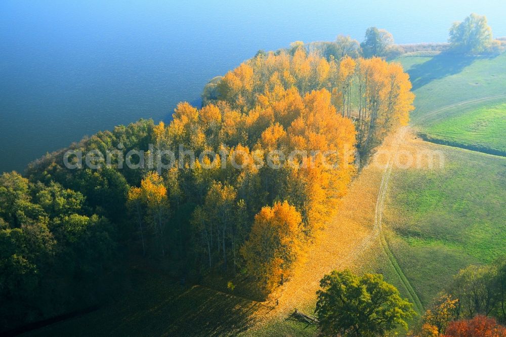 Aerial photograph Penzlin - Autumn colored forests on the shores of Lake Lieps in Penzlin in the state Mecklenburg - Western Pomerania, Germany