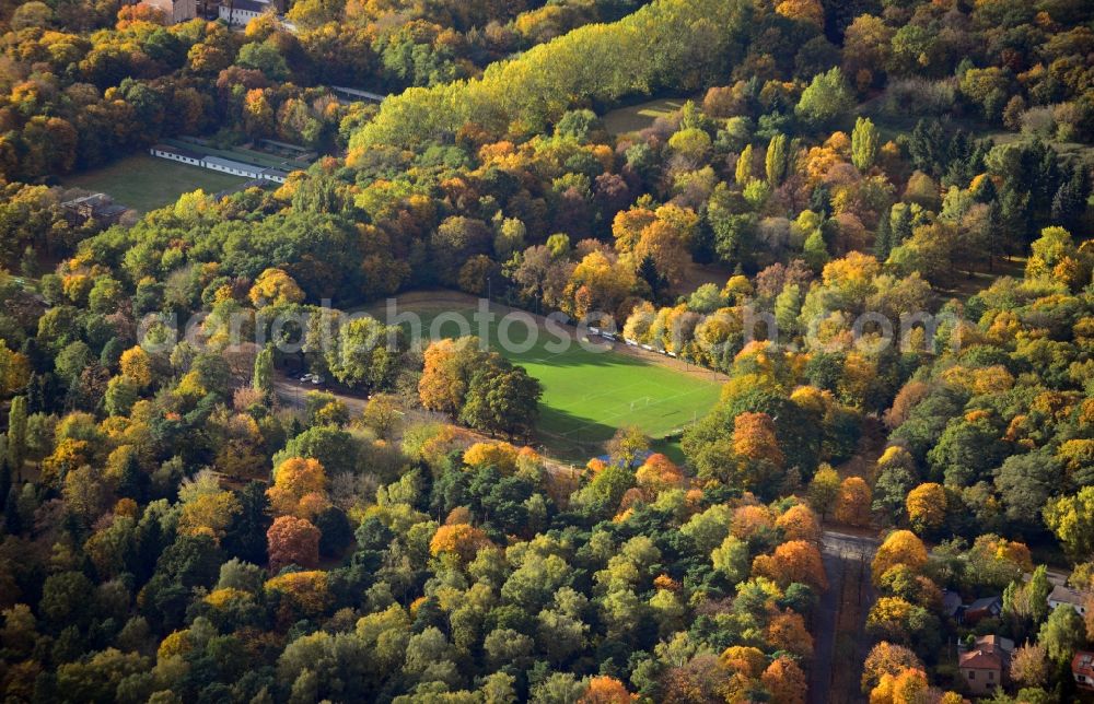 Berlin from above - Autumn colored treetops surrounding the Paul Zobel Sports Ground. The football field is located at Hermann Hesse Strasse in the public park Schoenholzer Heide