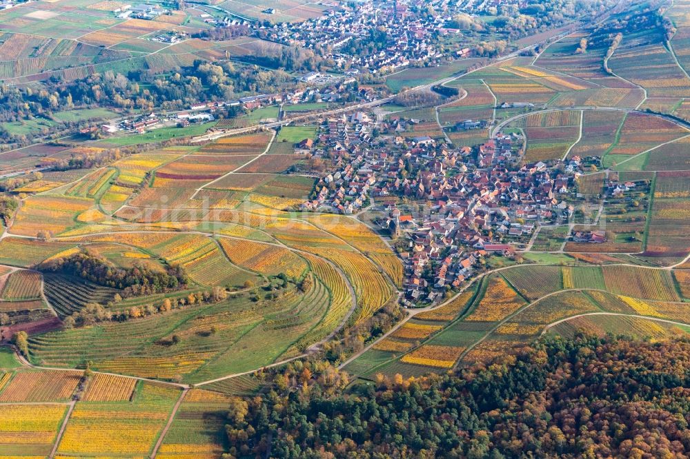 Aerial image Birkweiler - Autumnal discolored wine yards surround the settlement area of the village in Birkweiler in the state Rhineland-Palatinate, Germany