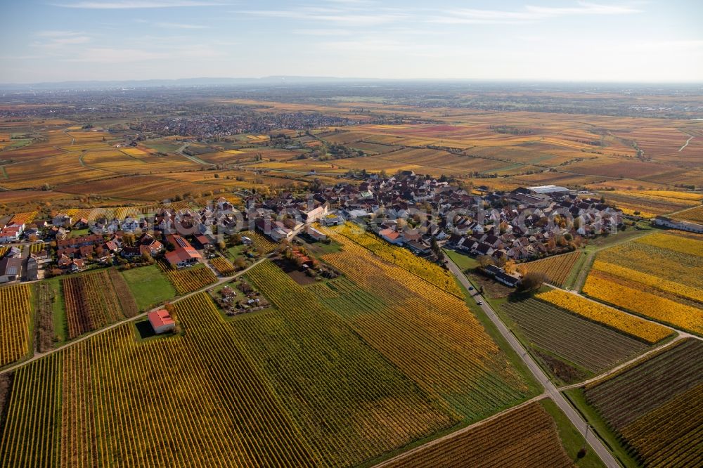Herxheim am Berg from above - Autumnal discolored vegetation view village - view on the edge of wine yards in Herxheim am Berg in the state Rhineland-Palatinate, Germany