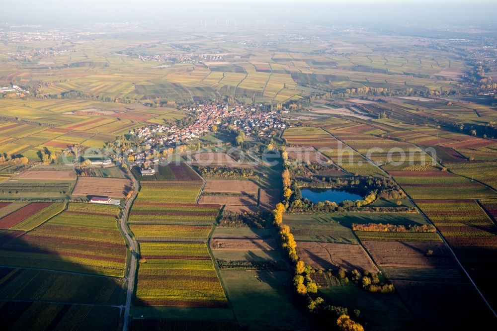 Göcklingen from above - Village - view on the edge of agricultural fields and farmland in Goecklingen in fall and evening colours in the state Rhineland-Palatinate, Germany