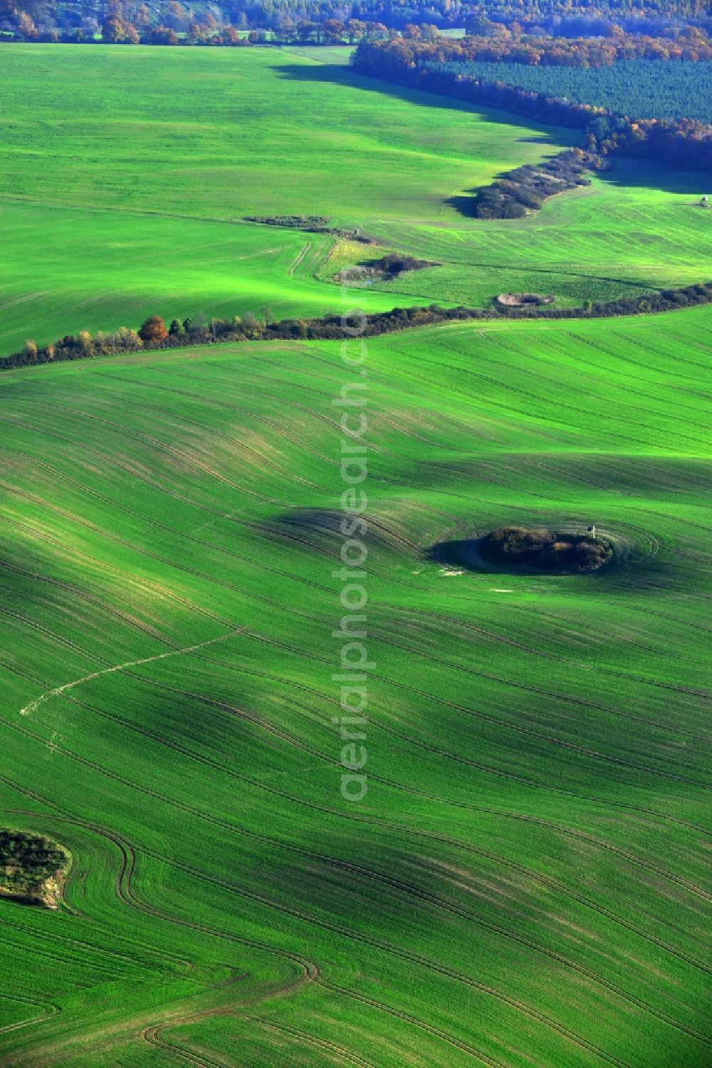 Aerial photograph Neubrandenburg - Autumnal landscape field with bumps and circular grassy plant locations in Neubrandenburg in the state of Mecklenburg-Western Pomerania