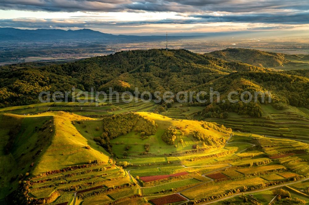 Aerial photograph Vogtsburg im Kaiserstuhl - Forest and mountain landscape at Kaiserstuhl in Vogtsburg im Kaiserstuhl in the federal state of Baden-Wuerttemberg, Germany