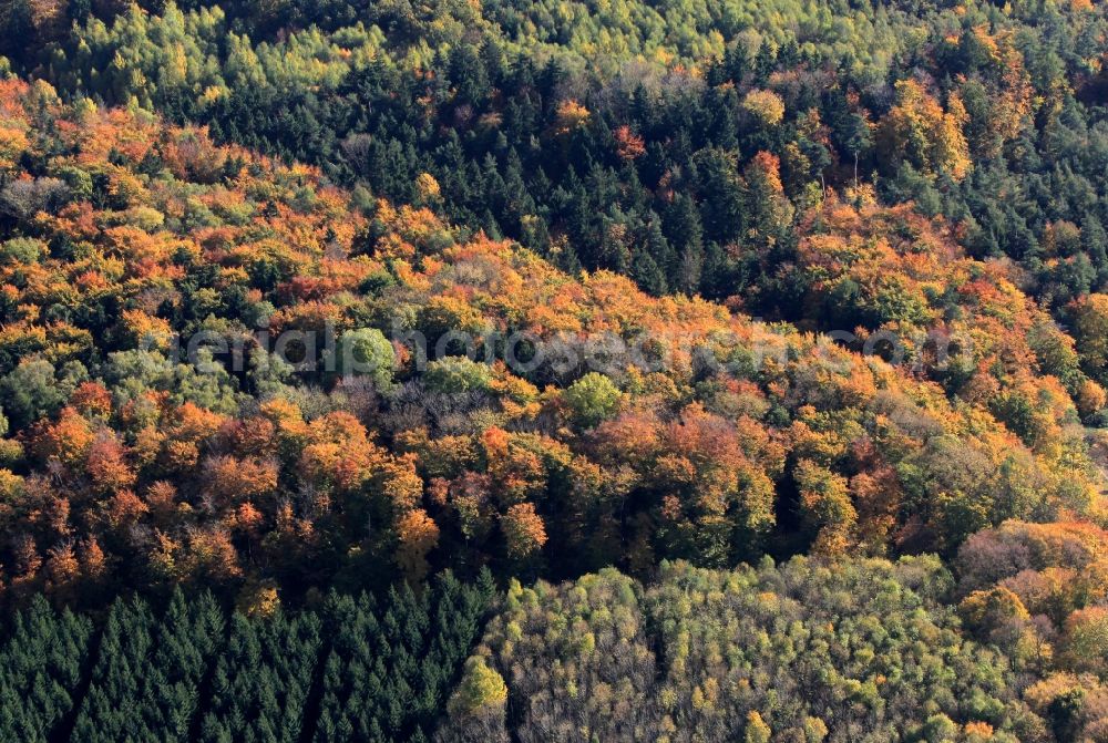 Hohenfelden from above - Autumnal forest landscape with Hohenfelden in Thuringia