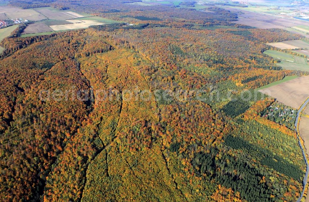 Aerial photograph Tonndorf - Autumn forest landscape at Tonndorf in Thuringia
