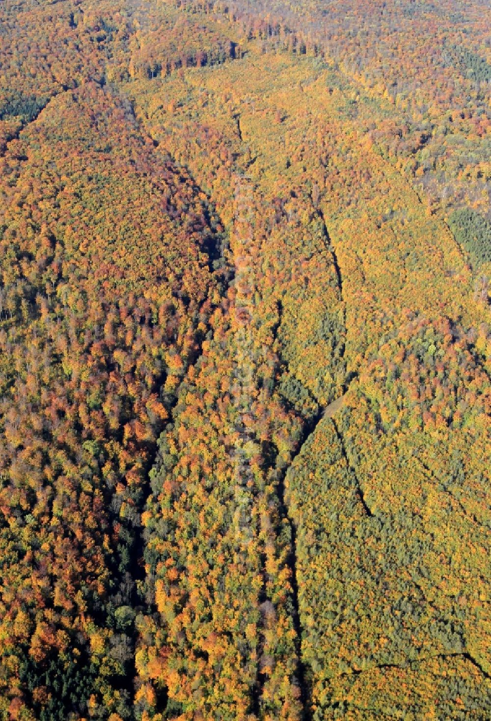 Tonndorf from above - Autumn forest landscape at Tonndorf in Thuringia