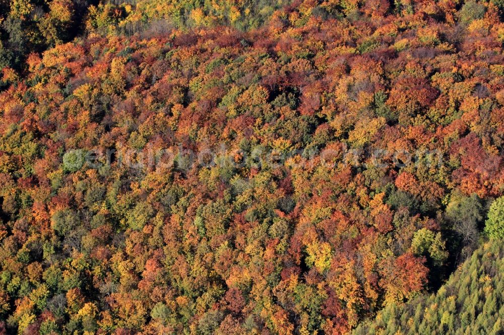 Tonndorf from above - Autumn forest landscape at Tonndorf in Thuringia