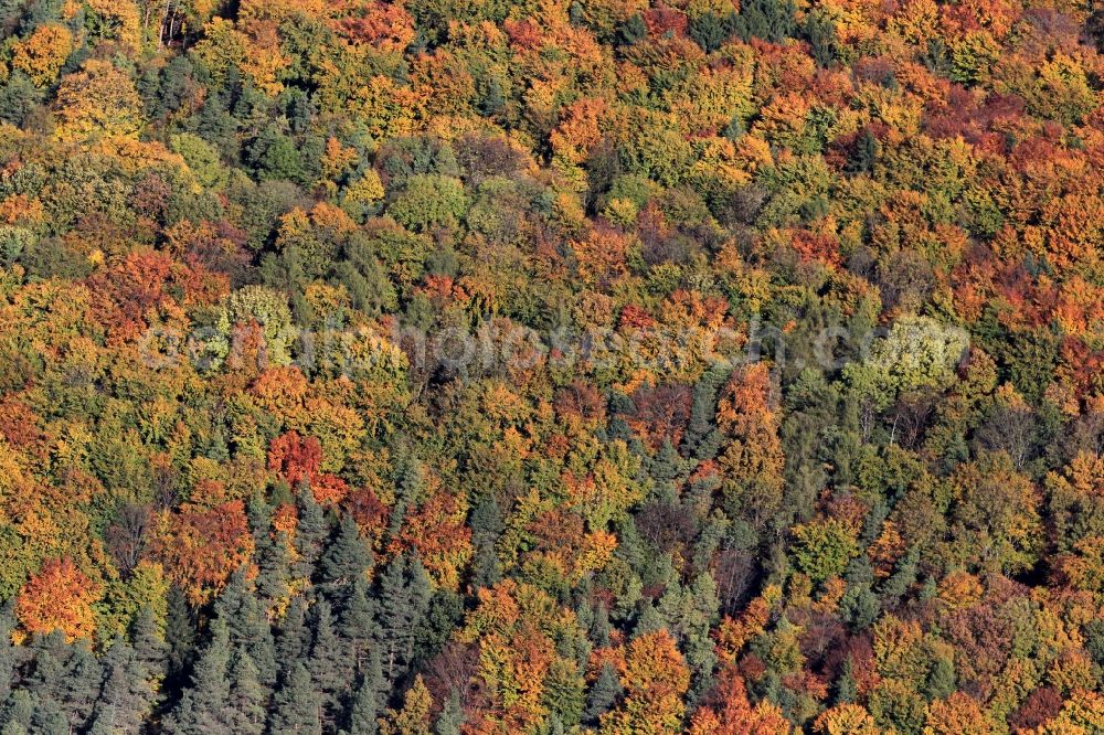 Aerial image Tonndorf - Autumn forest landscape at Tonndorf in Thuringia