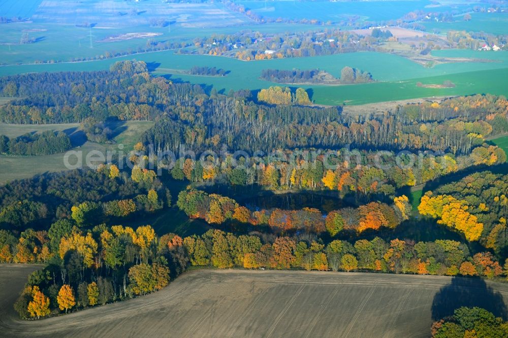 Aerial photograph Eixen - Autumn forest areas on the shore of the lake Krebssee in Eixen in Mecklenburg-Vorpommern, Germany