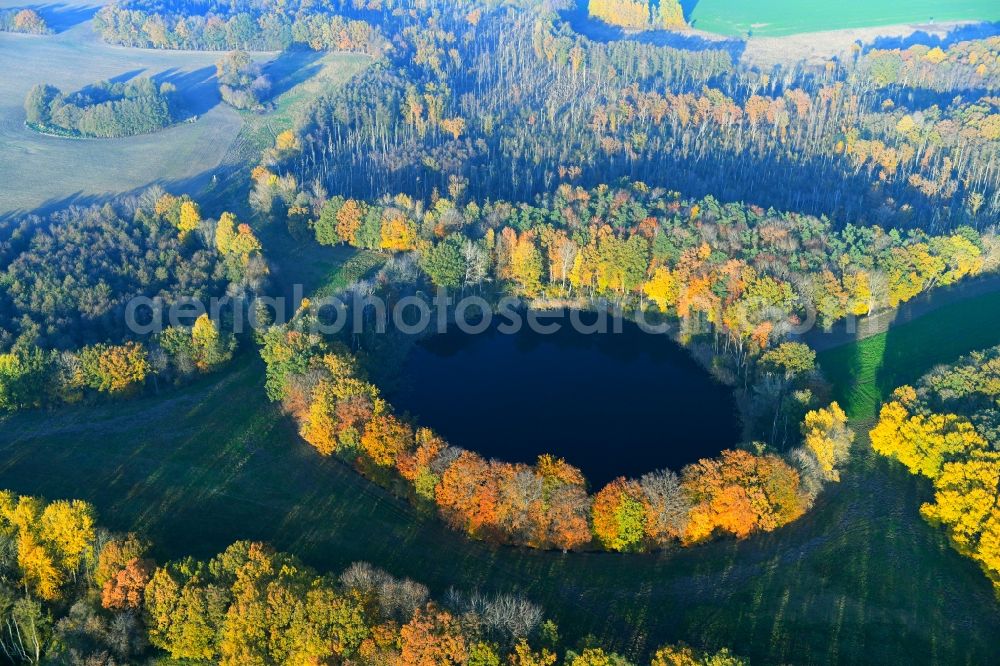 Eixen from above - Autumn forest areas on the shore of the lake Krebssee in Eixen in Mecklenburg-Vorpommern, Germany