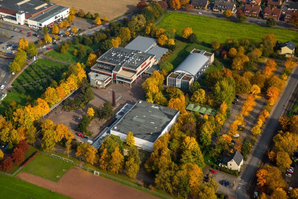 Hamm from above - School grounds and buildings of the Freiherr-vom-Stein-Gymnasium in the autumnal Werries part of Hamm in the state of North Rhine-Westphalia
