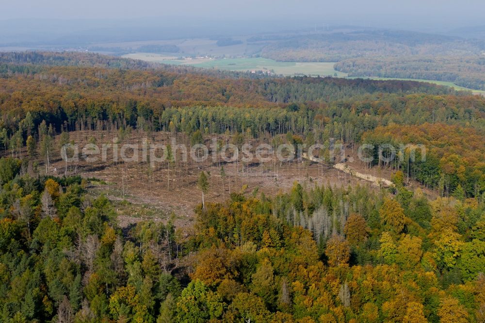 Aerial photograph Neu-Eichenberg - Autumnal discolored vegetation view tree dying and forest dying with skeletons of dead trees in the remnants of a forest area in Neu-Eichenberg in the state Hesse, Germany