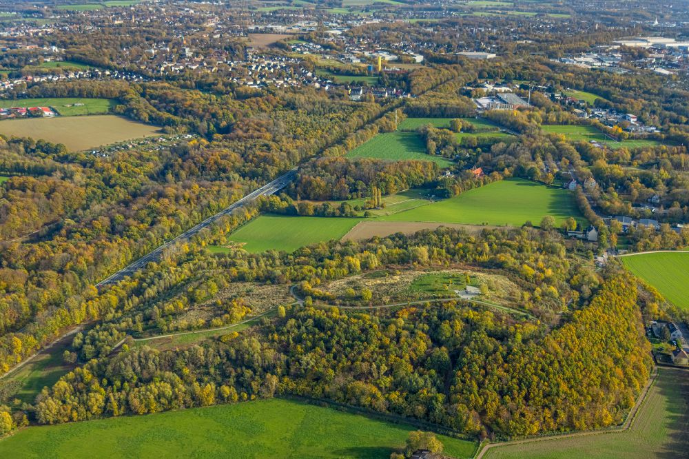 Aerial image Bochum - Autumnal discolored vegetation view hill and park with a viewpoint on the Tippelsberg in the leisure area Tippelsberg in the district Riemke in Bochum at Ruhrgebiet in the state North Rhine-Westphalia, Germany