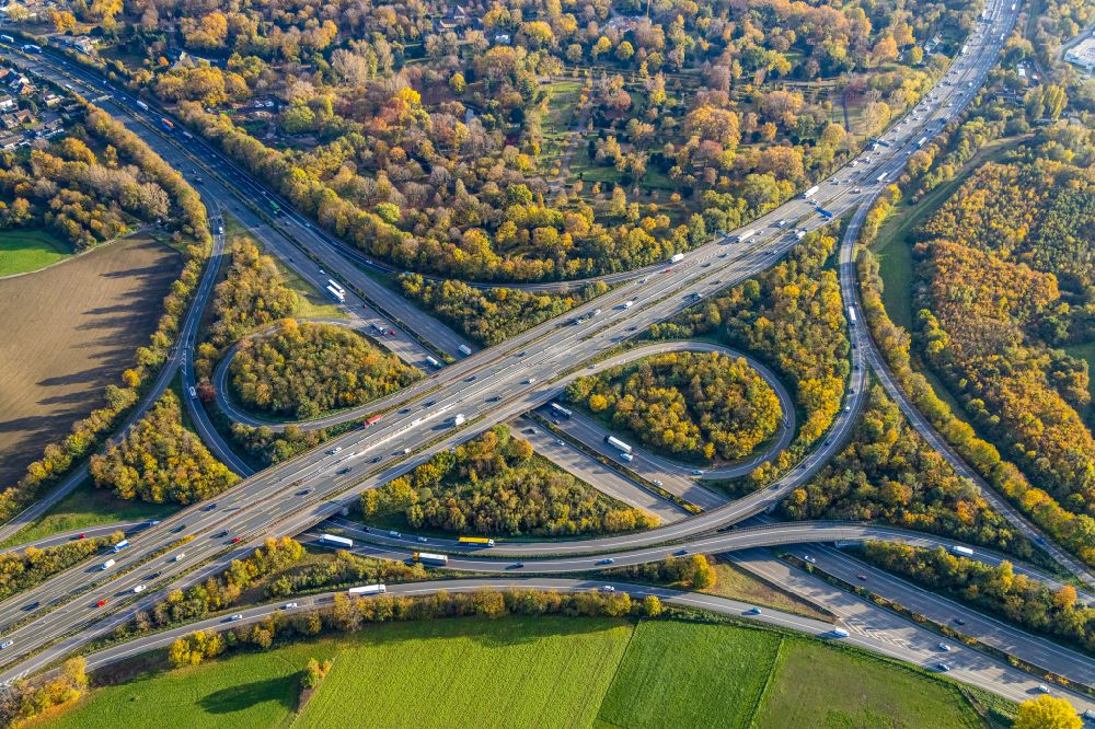 Aerial photograph Duisburg - Autumnal discolored vegetation view Traffic flow at the intersection- motorway A 3 - A42 Oberhausen-West in Duisburg at Ruhrgebiet in the state North Rhine-Westphalia, Germany