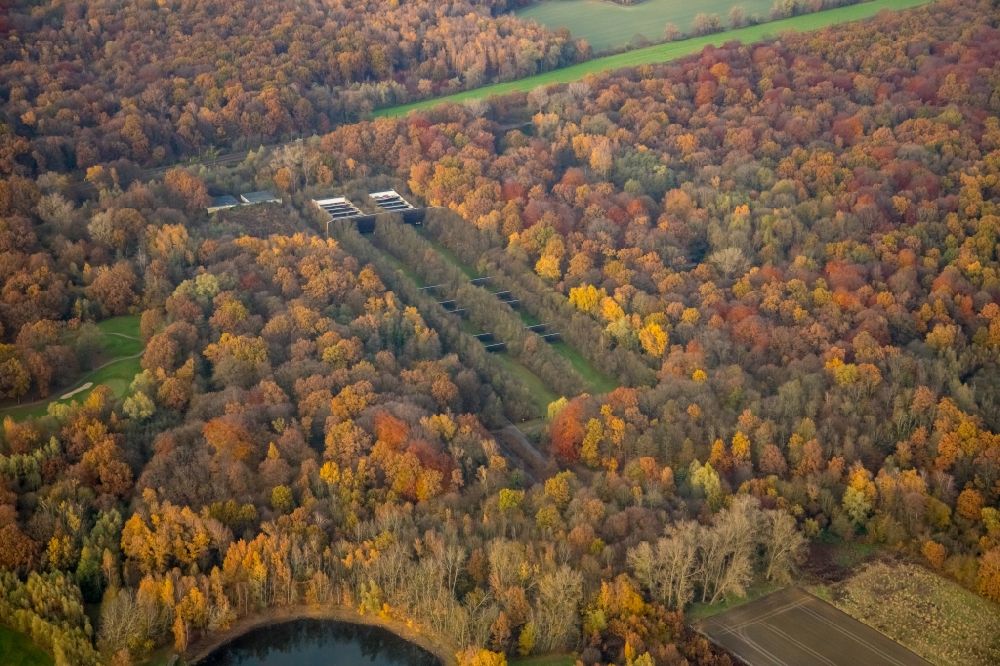 Aerial image Dortmund - Autumnal discolored vegetation view treetops in a wooded area in the district Kurl-Sued in Dortmund in the state North Rhine-Westphalia, Germany