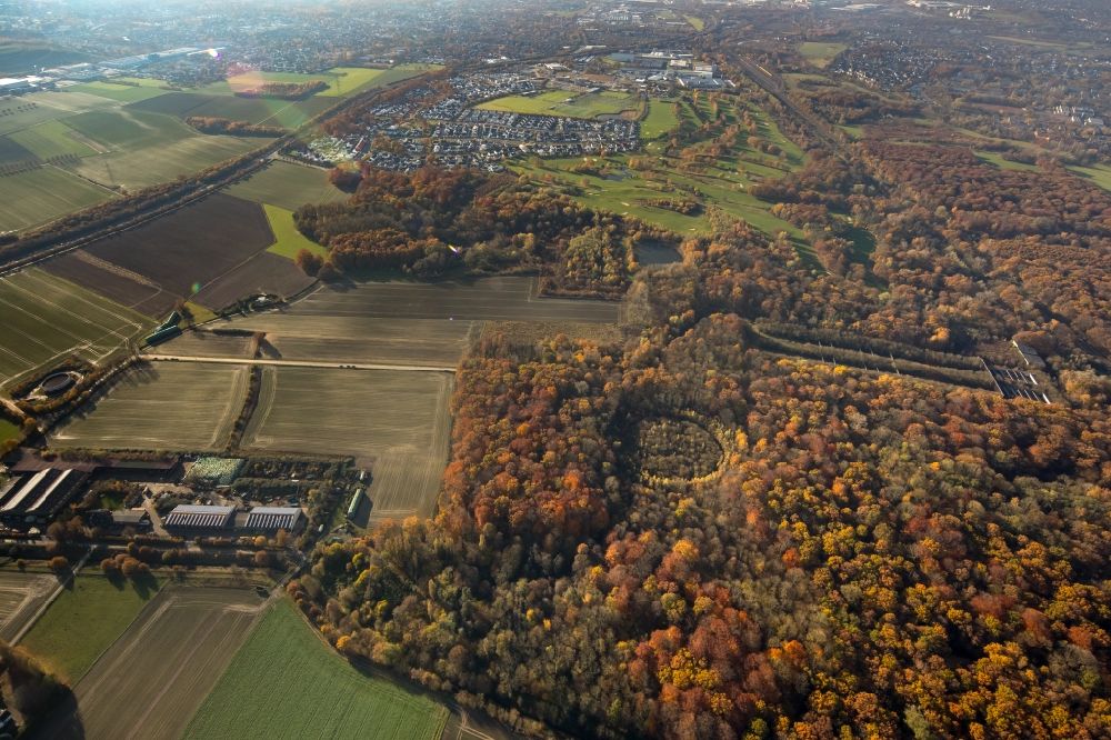 Aerial photograph Dortmund - Autumnal discolored vegetation view treetops in a wooded area in the district Kurl-Sued in Dortmund in the state North Rhine-Westphalia, Germany