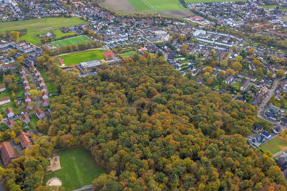 Aerial image Bergkamen - Autumnal discolored vegetation view tree tops in a deciduous forest - forest area on Roemerpark Bergkamen in the urban area in the district Oberaden in Bergkamen at Ruhrgebiet in the state North Rhine-Westphalia, Germany