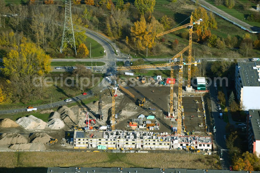 Berlin from the bird's eye view: Autumnal discolored vegetation view Construction site to build a new multi-family residential complex Trusetaler Strasse corner Wuhletalstrasse on street Maerkische Allee in the district Marzahn in Berlin, Germany