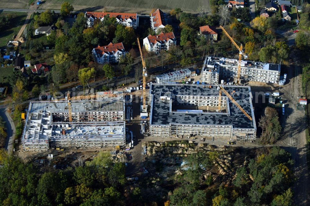 Bernau from the bird's eye view: Autumnal discolored vegetation view construction site to build a new multi-family residential complex Waldquartier Friedenstal-Bernau on Zepernicker Chaussee corner Lenastrasse in Bernau in the state Brandenburg, Germany