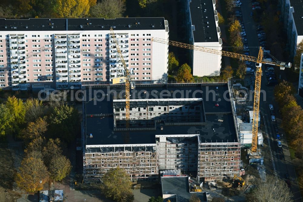 Aerial photograph Berlin - Autumnal discolored vegetation view construction site for the new residential and commercial building on Muehlengrund between Ruedickenstrasse, Rotkonp and Matenzeile in the district Hohenschoenhausen in Berlin, Germany