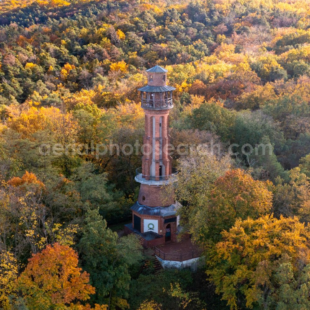 Aerial photograph Bad Freienwalde (Oder) - Autumnal discolored vegetation view structure of the observation tower Aussichtsturm on Galgenberg in Bad Freienwalde (Oder) in the state Brandenburg, Germany