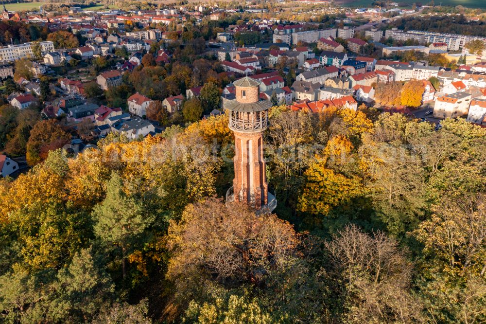 Bad Freienwalde (Oder) from above - Autumnal discolored vegetation view structure of the observation tower Aussichtsturm on Galgenberg in Bad Freienwalde (Oder) in the state Brandenburg, Germany