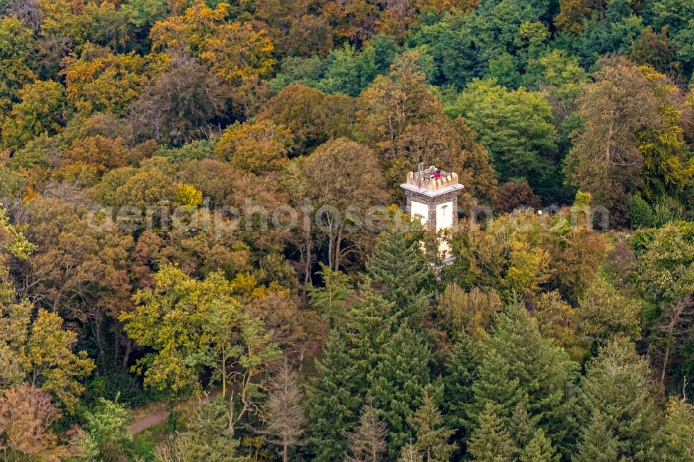 Ihringen from above - Autumnal discolored vegetation view structure of the observation tower Neunlindenturm in Ihringen in the state Baden-Wuerttemberg, Germany