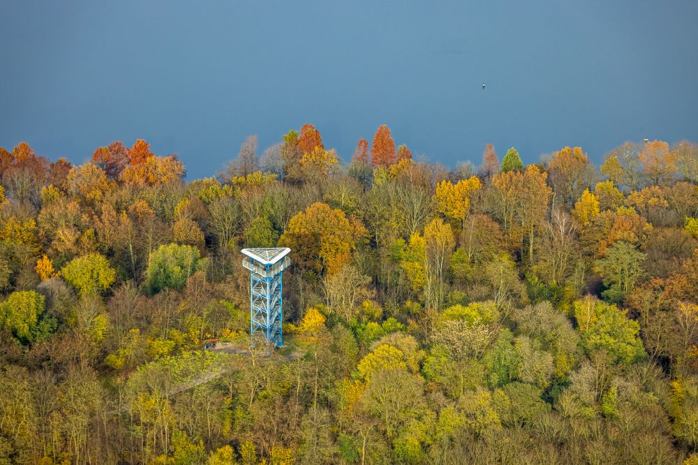 Aerial photograph Duisburg - Autumnal discolored vegetation view structure of the observation tower Aussichtsplattform Six-Seen-Platte in the district Wedau in Duisburg at Ruhrgebiet in the state North Rhine-Westphalia, Germany