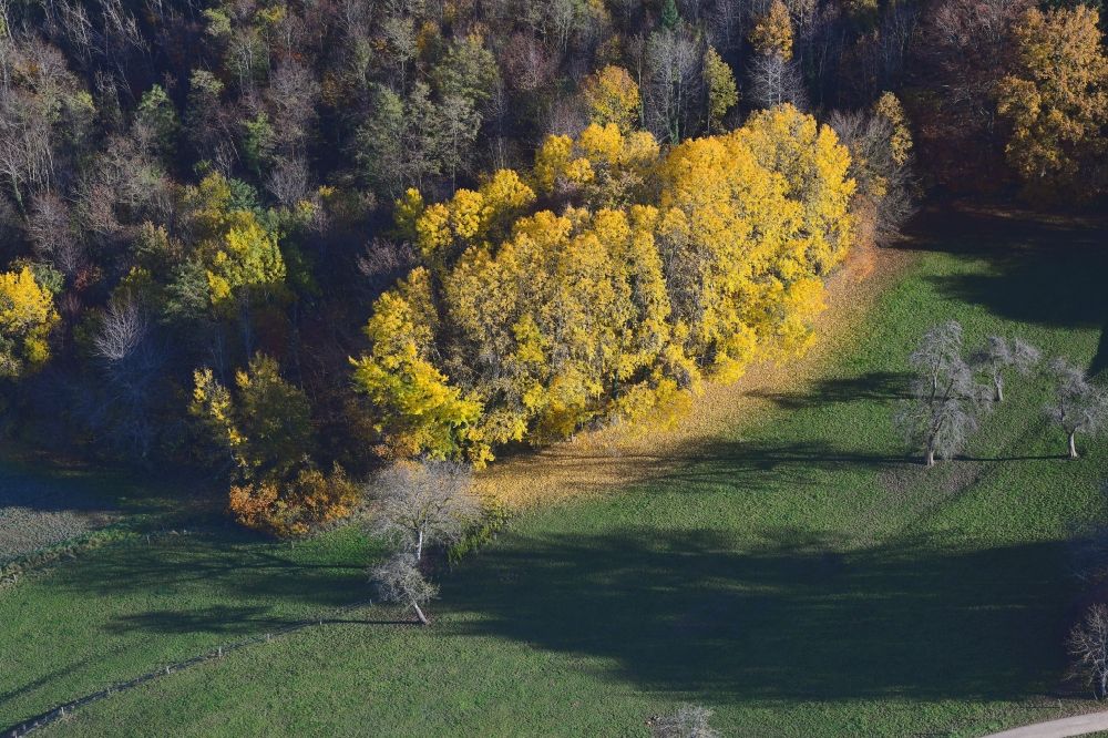 Aerial image Schopfheim - Autumnal discolored vegetation of treetops in a forest edge in Schopfheim in the state Baden-Wuerttemberg, Germany