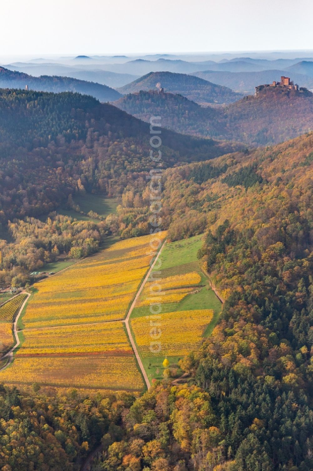 Annweiler am Trifels from the bird's eye view: Autumnal discolored vegetation view of castle of the fortresses Trifels, Scharfeneck and Anebos at sunset in Annweiler am Trifels in the state Rhineland-Palatinate, Germany