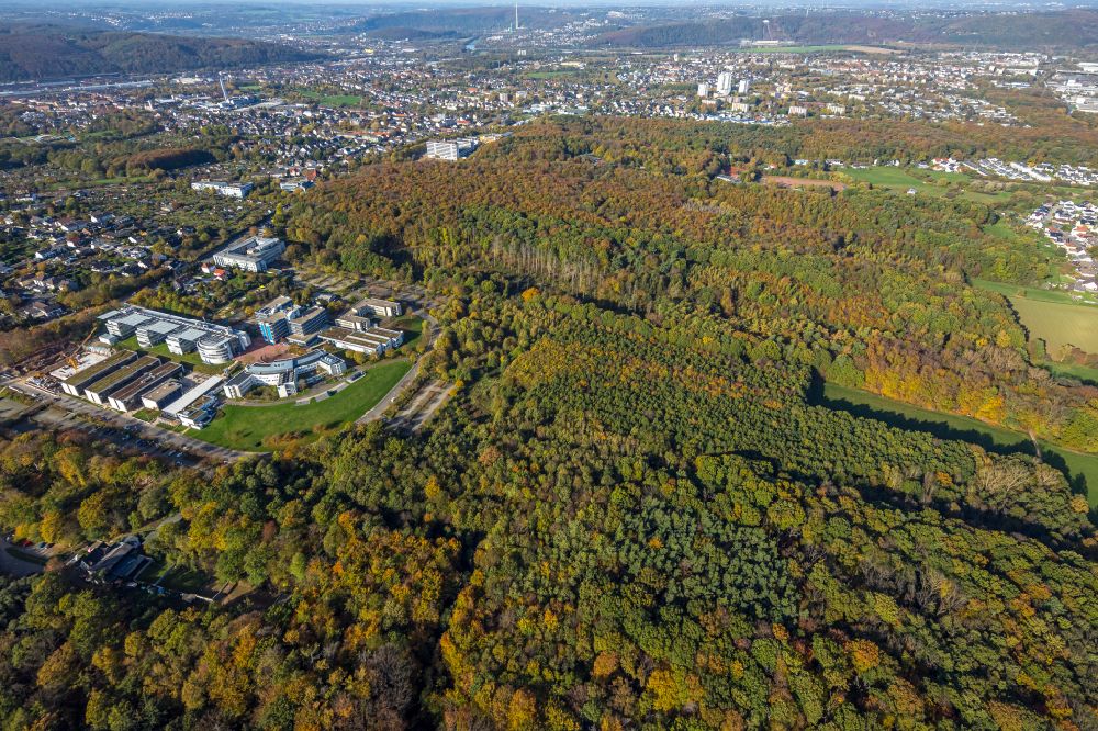 Hagen from above - Autumnal discolored vegetation view campus building of the university FernUniversitaet Hagen in Hagen at Ruhrgebiet in the state North Rhine-Westphalia, Germany