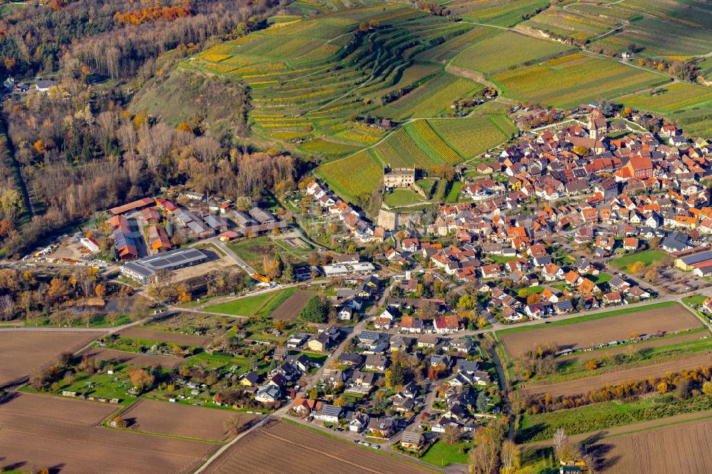 Aerial image Burkheim - Autumnal discolored vegetation view village view in Burkheim in the state Baden-Wuerttemberg, Germany