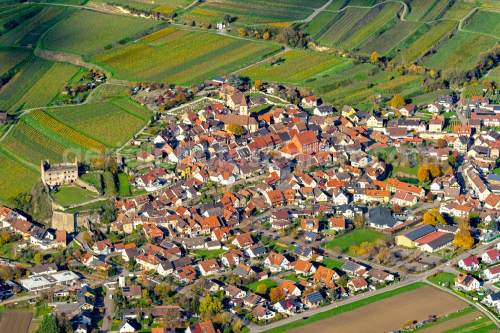Burkheim from above - Autumnal discolored vegetation view village view in Burkheim in the state Baden-Wuerttemberg, Germany