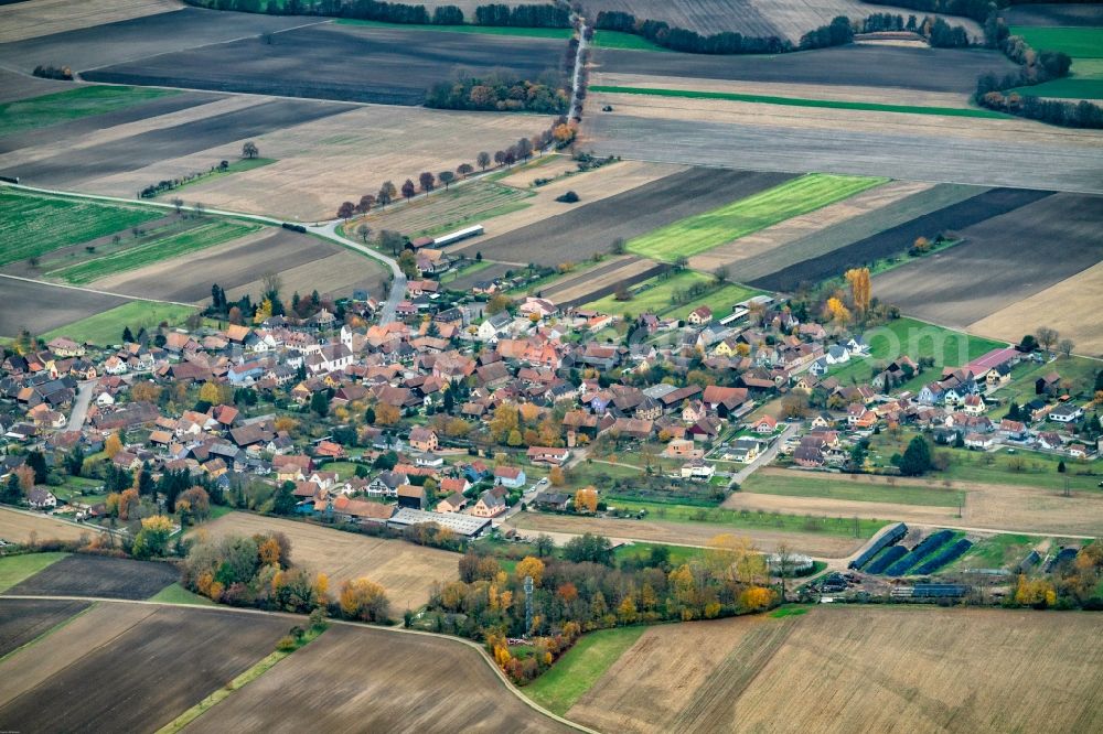 Aerial image Diebolsheim - Autumnal discolored vegetation view Village - view on the edge of agricultural fields and farmland in Diebolsheim in the Elsass, France