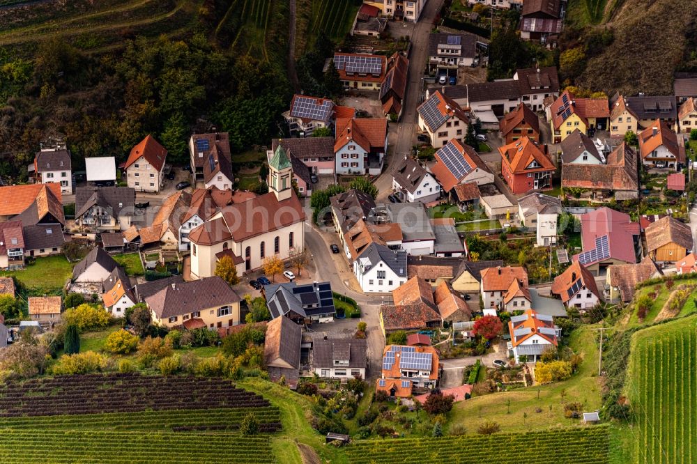 Aerial image Vogtsburg im Kaiserstuhl - Autumnal discolored vegetation view village - view on the edge of agricultural fields and farmland in Schelingen in the state Baden-Wurttemberg, Germany