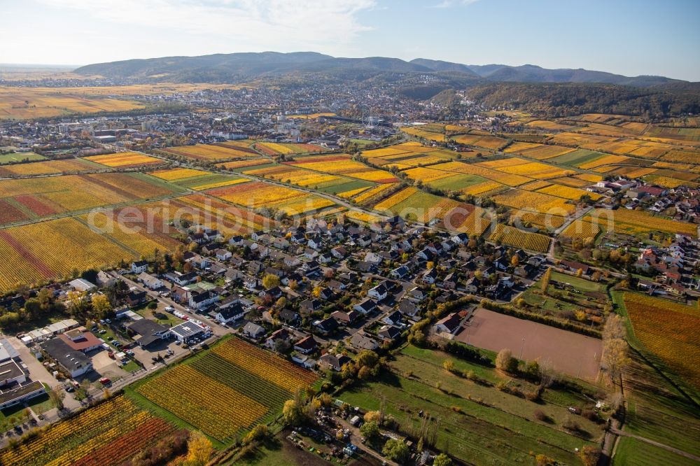 Ungstein from the bird's eye view: Autumnal discolored winyards near village - view in Ungstein in the state Rhineland-Palatinate, Germany