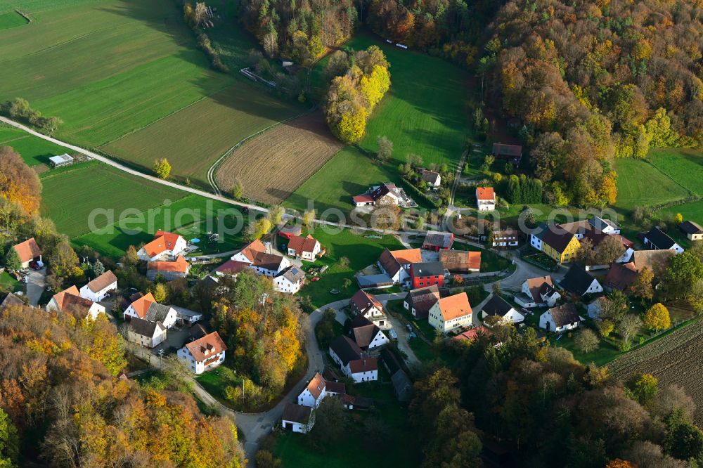Hegendorf from the bird's eye view: Autumnal discolored vegetation view village - view on the edge of forested areas in Hegendorf in the state Bavaria, Germany