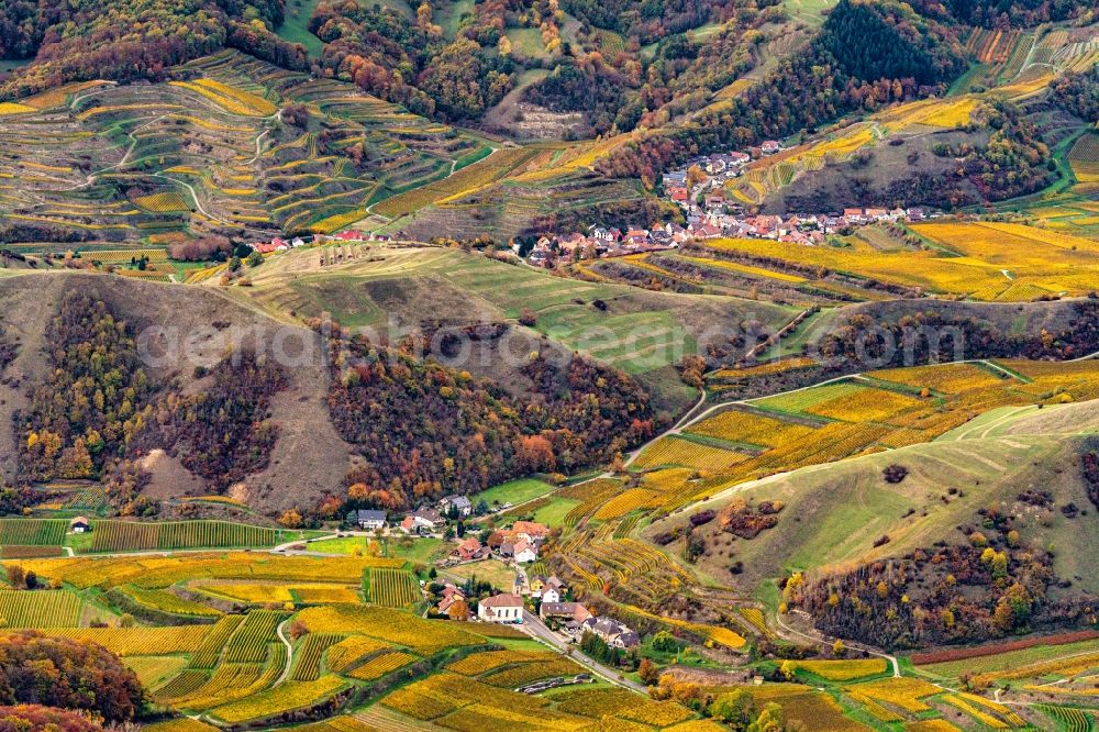 Vogtsburg im Kaiserstuhl from above - Autumnal discolored vegetation view village - view on the edge of vineyards and wineries in Vogtsburg im Kaiserstuhl in the state Baden-Wuerttemberg, Germany