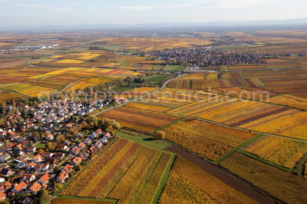 Kirchheim an der Weinstraße from the bird's eye view: Autumnal discolored wineyards betweeen Kleinkarlbach and Kirchheim an der Weinstrasse in the state Rhineland-Palatinate, Germany