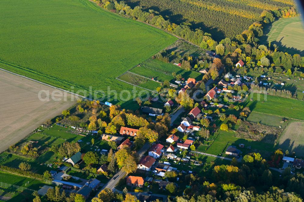 Goldenitz from above - Autumnal vegetation view of the village - View along the village street in Goldenitz in the state Mecklenburg - Western Pomerania, Germany