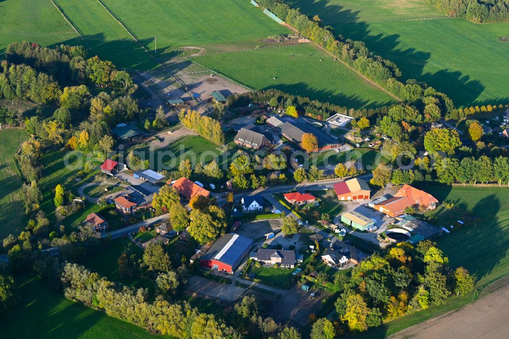 Aerial photograph Klein Pampau - Autumnal discolored vegetation view village view in Klein Pampau in the state Schleswig-Holstein, Germany