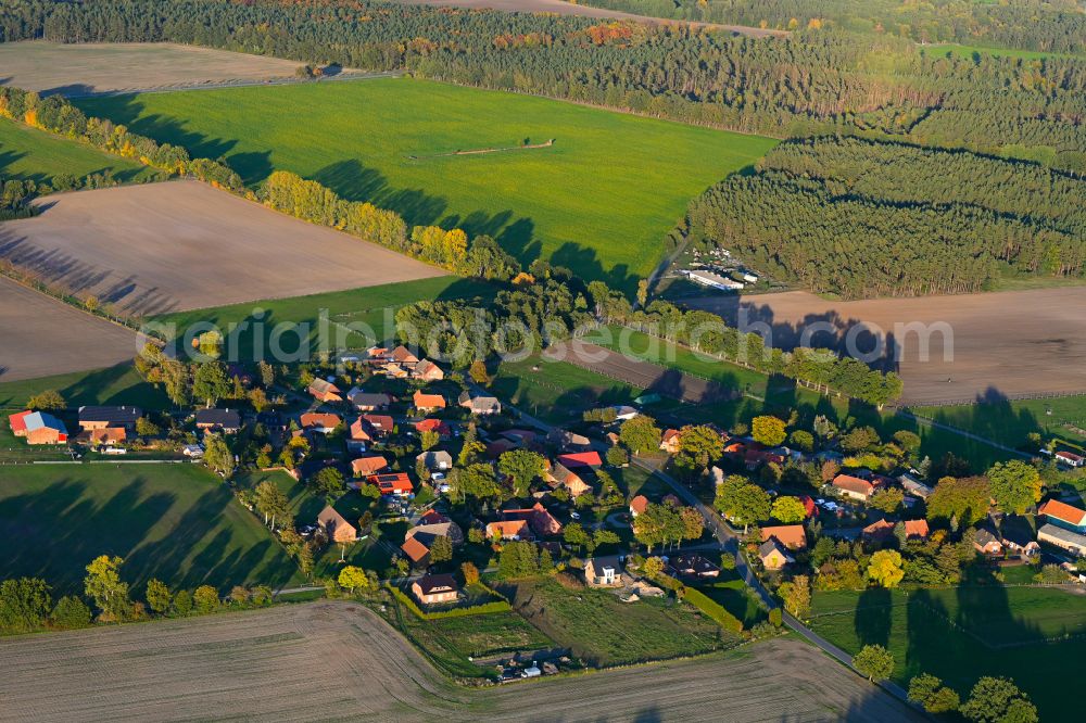 Aerial photograph Neu Krenzlin - Autumnal discolored vegetation view village view in Neu Krenzlin in the state Mecklenburg - Western Pomerania, Germany