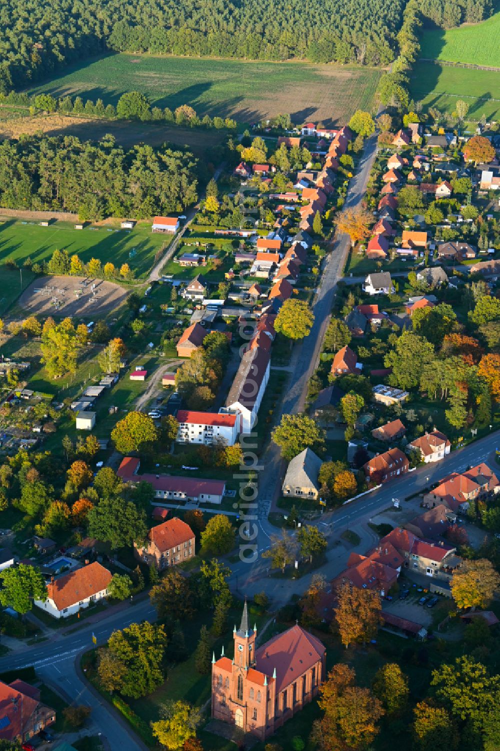 Aerial image Redefin - Autumnal discolored vegetation view village view of Redefin in the state Mecklenburg - Western Pomerania
