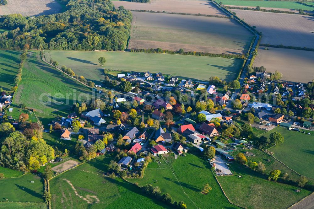Sahms from the bird's eye view: Autumnal discolored vegetation view village view of Sahms in the state Schleswig-Holstein
