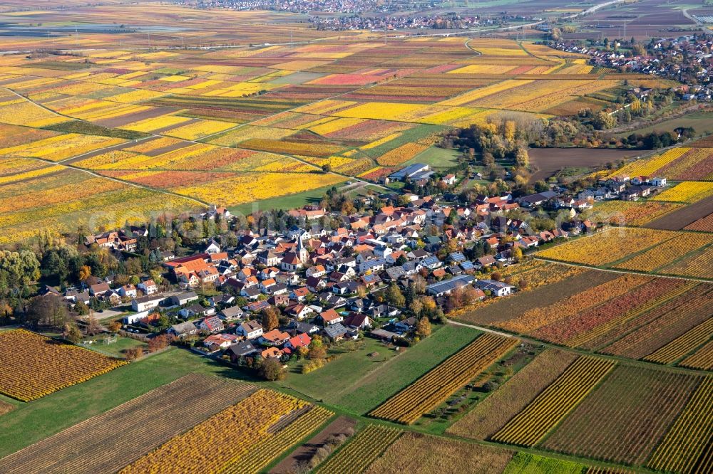 Aerial image Bissersheim - Autumnal discolored vegetation view agricultural land and field borders surround the settlement area of the village in Bissersheim in the state Rhineland-Palatinate, Germany