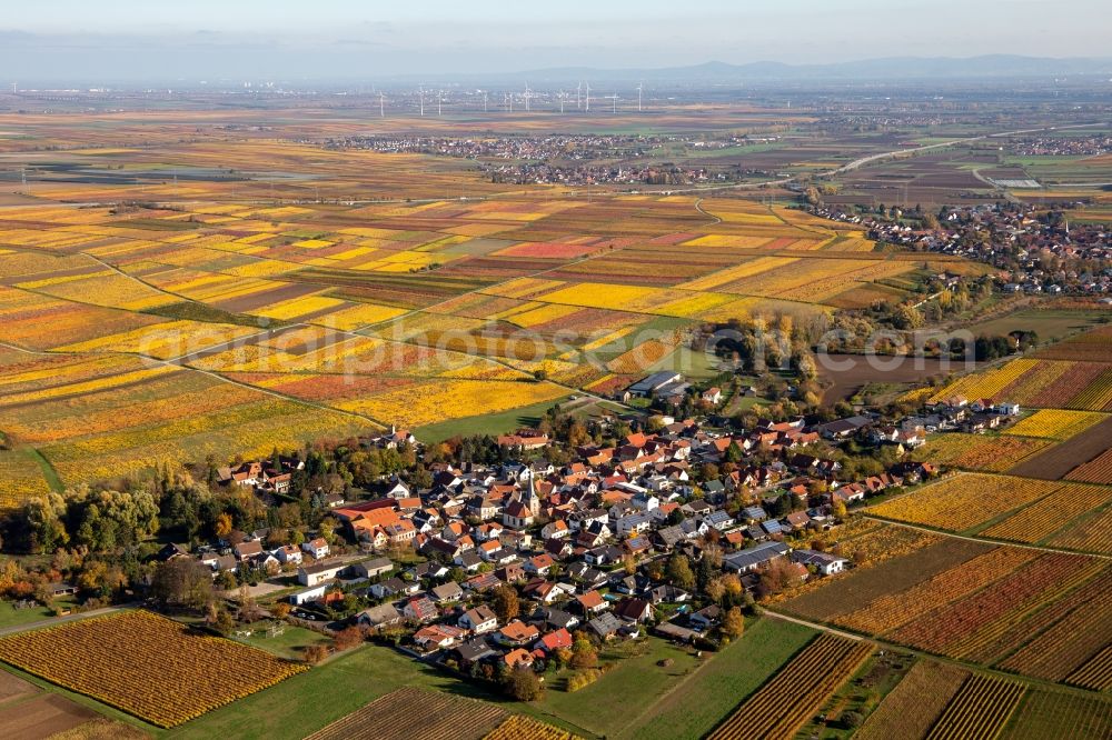 Bissersheim from above - Autumnal discolored vegetation view agricultural land and field borders surround the settlement area of the village in Bissersheim in the state Rhineland-Palatinate, Germany
