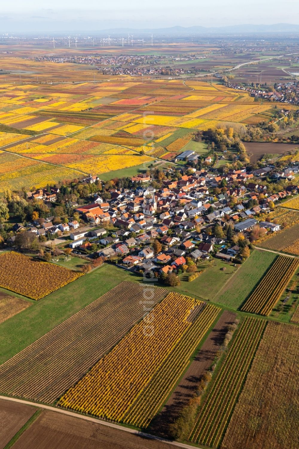 Bissersheim from the bird's eye view: Autumnal discolored vegetation view agricultural land and field borders surround the settlement area of the village in Bissersheim in the state Rhineland-Palatinate, Germany